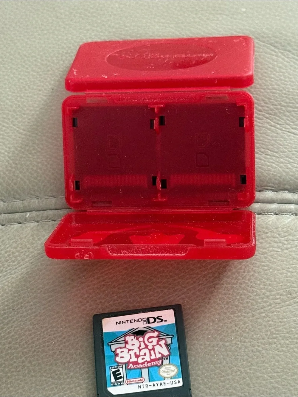 Nintendo DS Game Cartridge Set with Red Case and Pink & Blue Labels